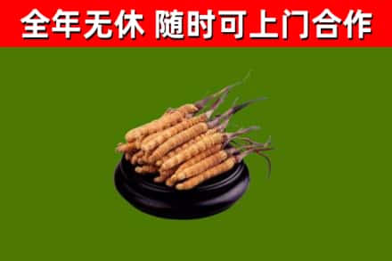 吉水烟酒回收冬虫夏草.jpg